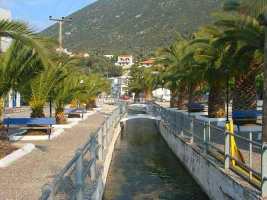 White Villa In Olive Trees And Seaview To Panagia Almiropótamos Екстериор снимка