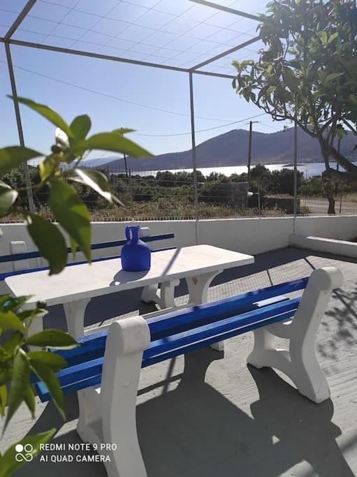 White Villa In Olive Trees And Seaview To Panagia Almiropótamos Екстериор снимка