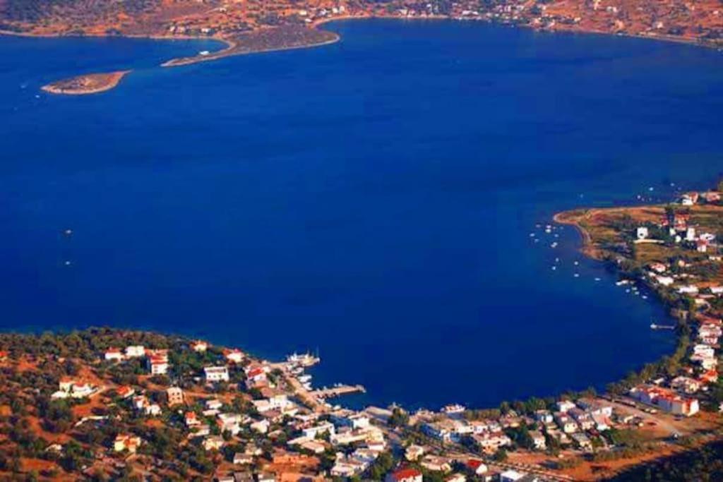 White Villa In Olive Trees And Seaview To Panagia Almiropótamos Екстериор снимка