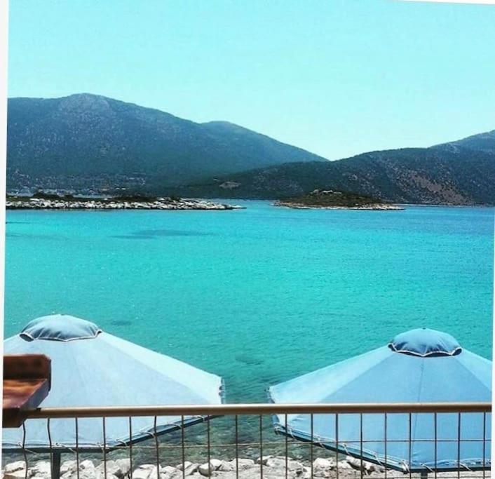 White Villa In Olive Trees And Seaview To Panagia Almiropótamos Екстериор снимка