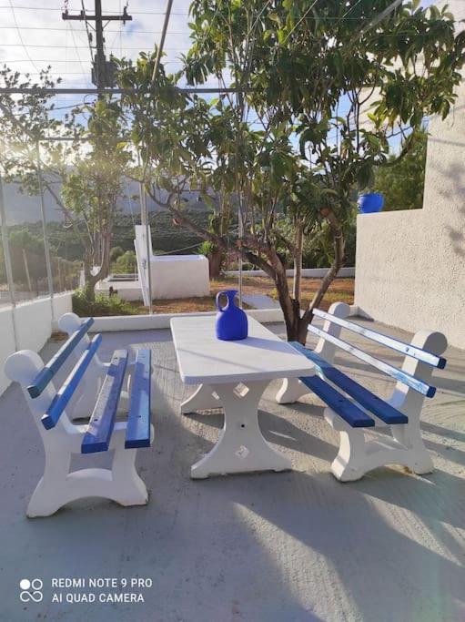 White Villa In Olive Trees And Seaview To Panagia Almiropótamos Екстериор снимка